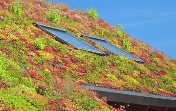 High Bentham living roof systems