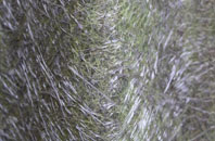 High Bentham fibreglass roof work